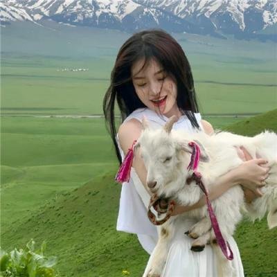 一只狗的大学时光 在线观看